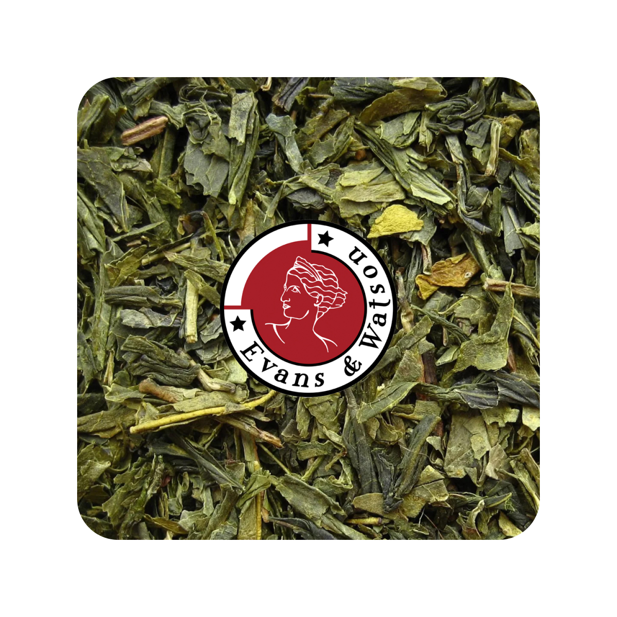 Японская Сенча • Evans & Watson